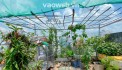 Bán nhà Gò Vấp, xe hơi đỗ cổng, sat mặt tiền Nguyễn Thái Sơn, 42M² x 4 tầng, 5 PN, hơn 5 tỷ